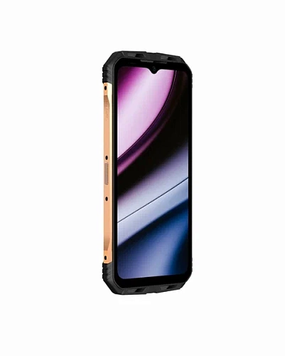 Смартфон DOOGEE S110 12/256GB (Золотой, 256 ГБ, 12 ГБ)