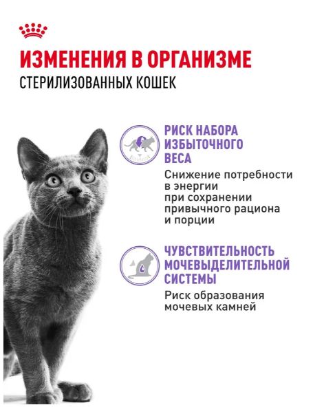Влажный корм для стерилизованных кошек Royal Canin Sterilised в соусе 85 г х 28 шт