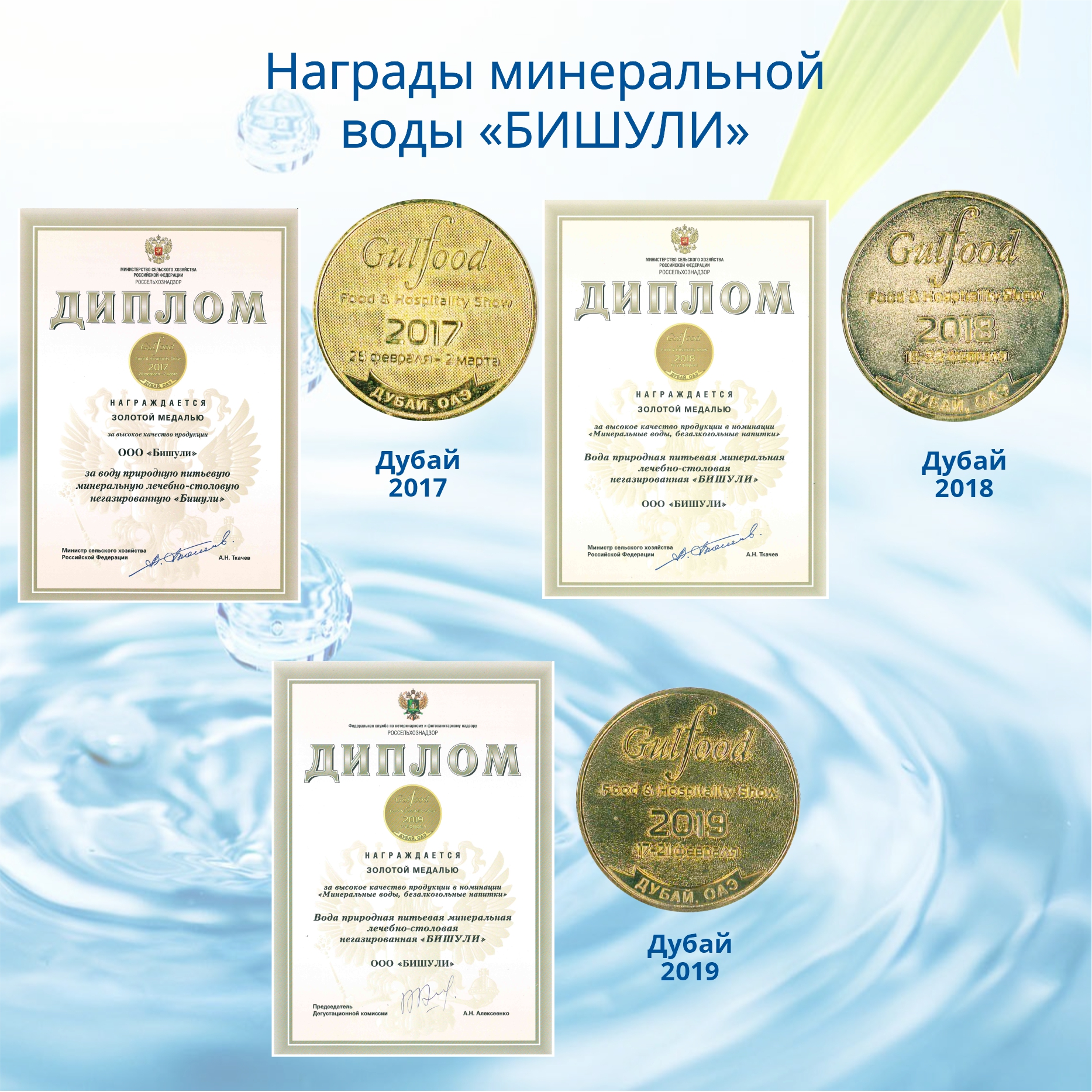 Вода минеральная лечебно-столовая Бишули 0.5 литра, без газа, пэт, 12 шт. в уп.
