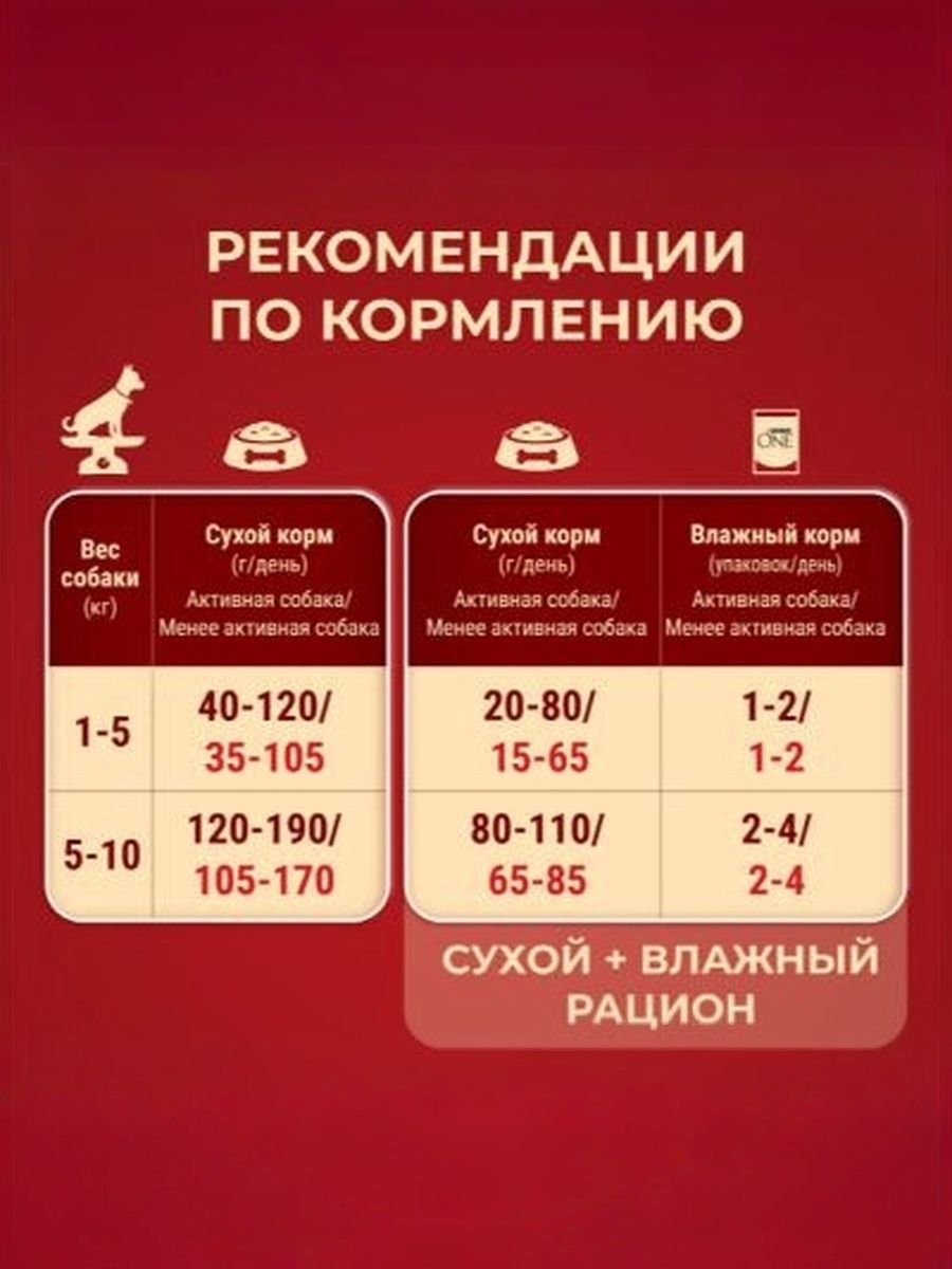 Сухой корм Purina ONE Adult для взрослых собак средних и крупных пород с ягненком и рисом, 10 кг