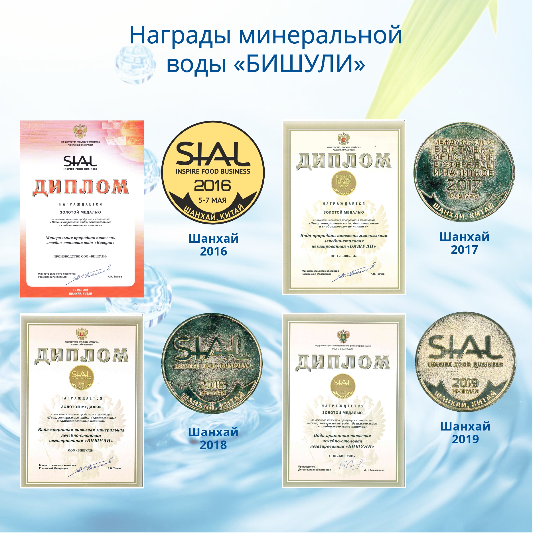 Вода минеральная лечебно-столовая Бишули 0.5 литра, без газа, пэт, 12 шт. в уп.
