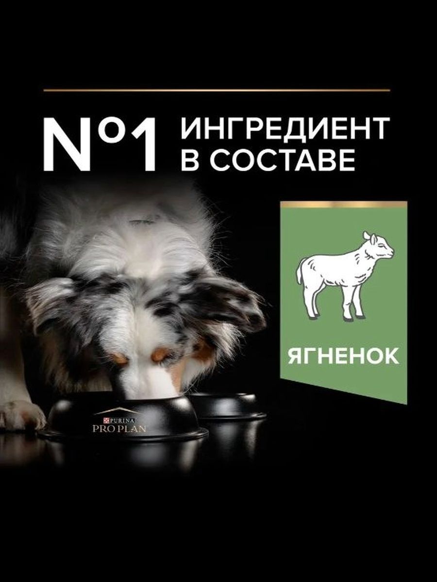 Сухой корм PRO PLAN Sensitive Digestion для взрослых собак средних пород с чувствительным пищеварением, с ягненком, 7 кг