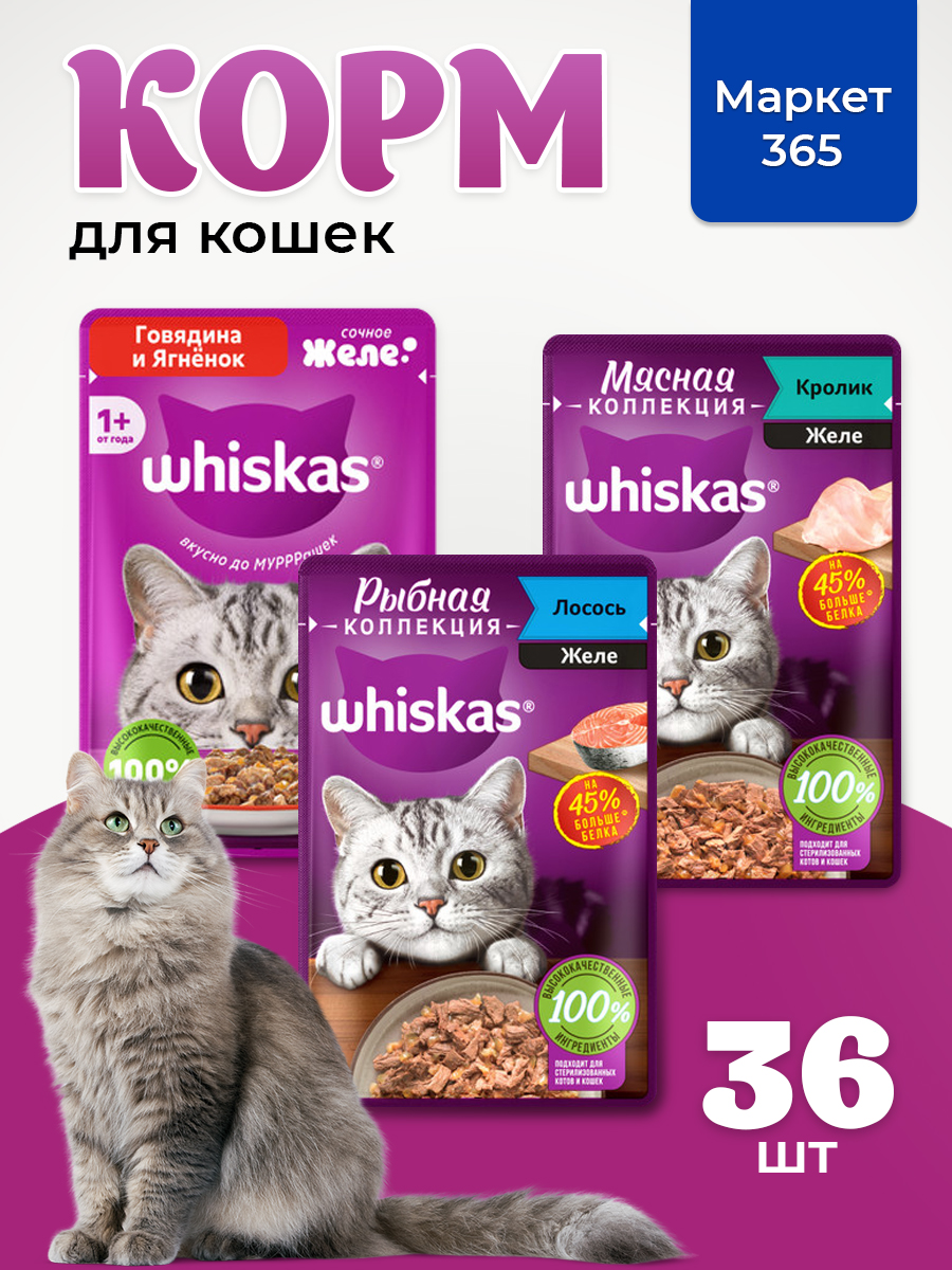 Корм для кошек влажный, Whiskas желе, Набор: Говядина и ягненок, лосось, кролик. 36 шт 75 г