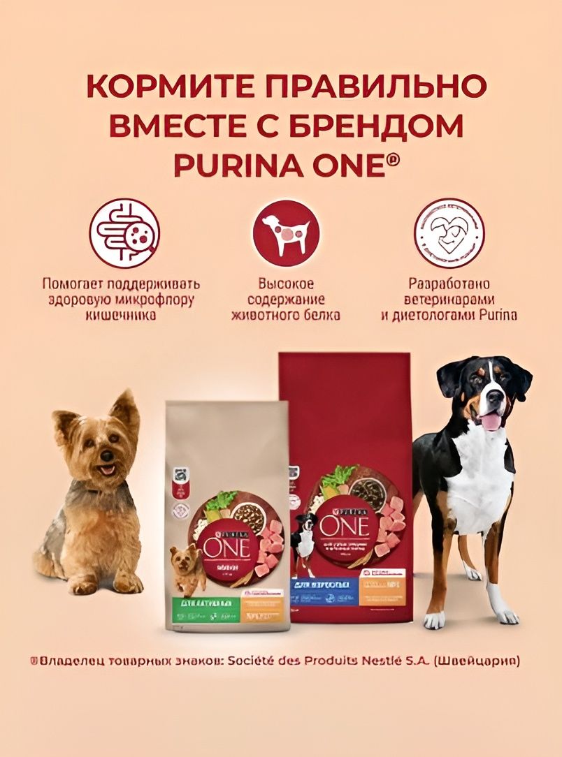 Сухой корм для собак Purina ONE для средних и крупных пород, с говядиной и рисом, 10 кг
