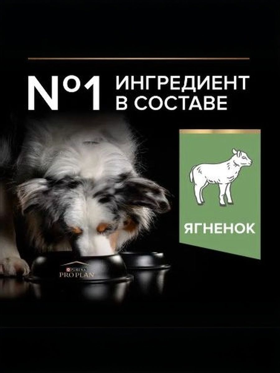 Сухой корм PRO PLAN Sensitive Digestion для взрослых собак средних пород с чувствительным пищеварением, с ягненком, 3 кг