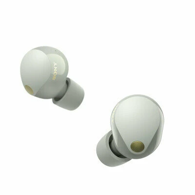 Беспроводные наушники Sony WF-1000XM5 (Серебристый)