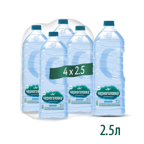 "Черноголовка" 2.5л б/г