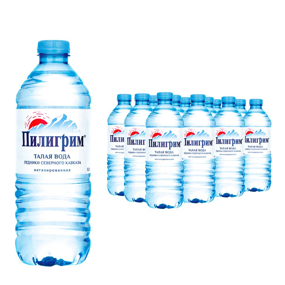 Вода питьевая Пилигрим 0,5л негазированная (упаковка 12 шт.)