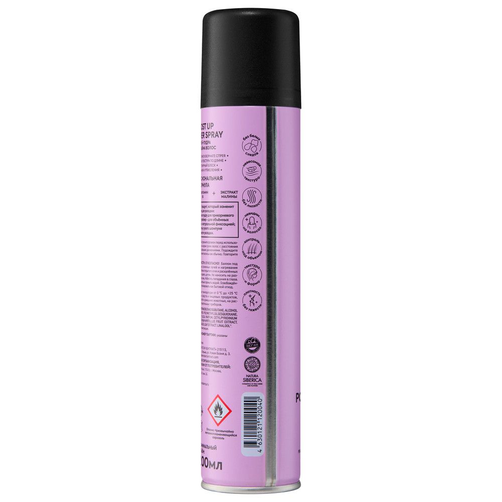 Спрей-пудра для объёма волос Boost Up Powder Spray ICE Professional by Natura Siberica Take It Home, 200 мл