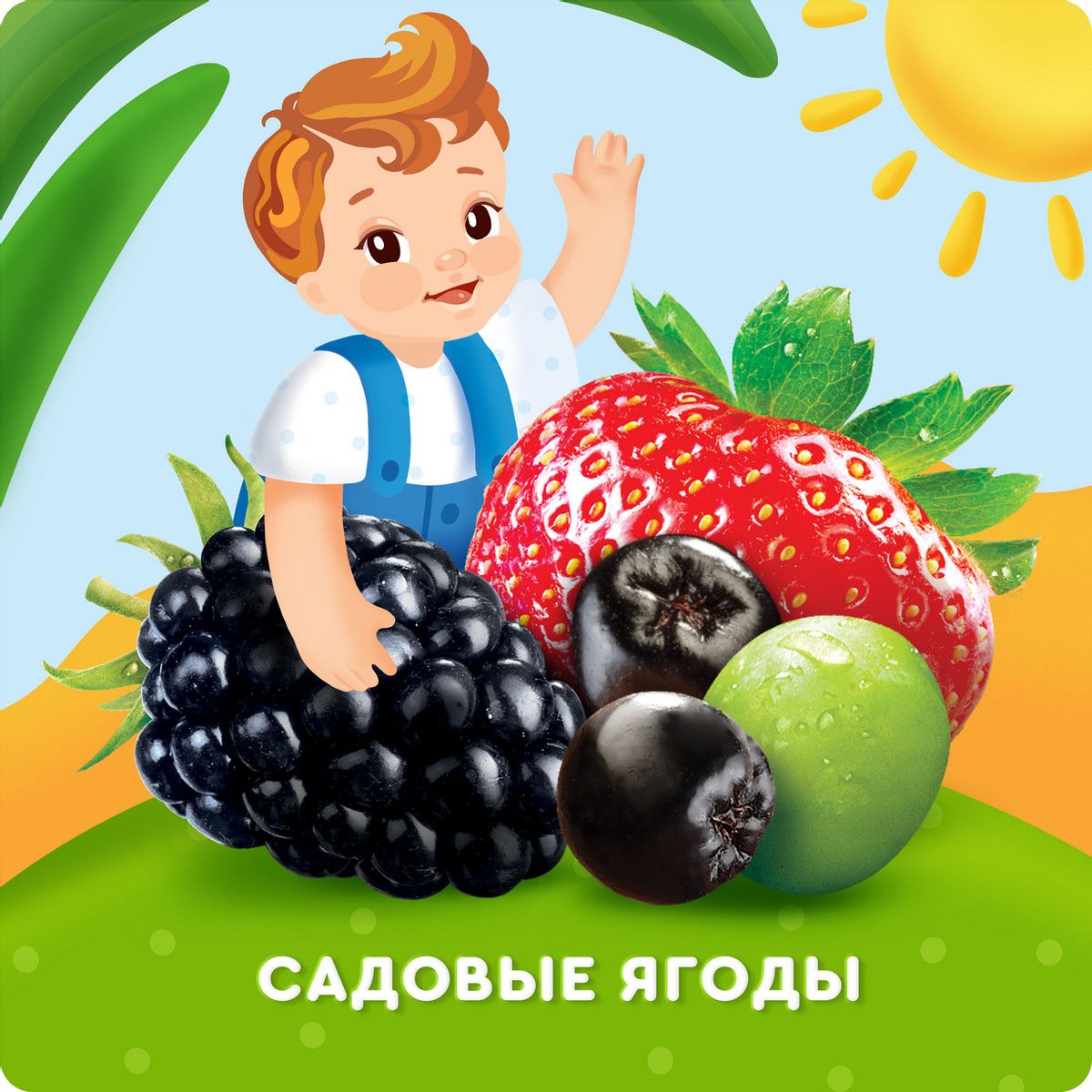 Напиток сокосодержащий детский Агуша Вода и Сок Садовые ягоды с 12 месяцев, 300мл(Упаковка 6 шт)
