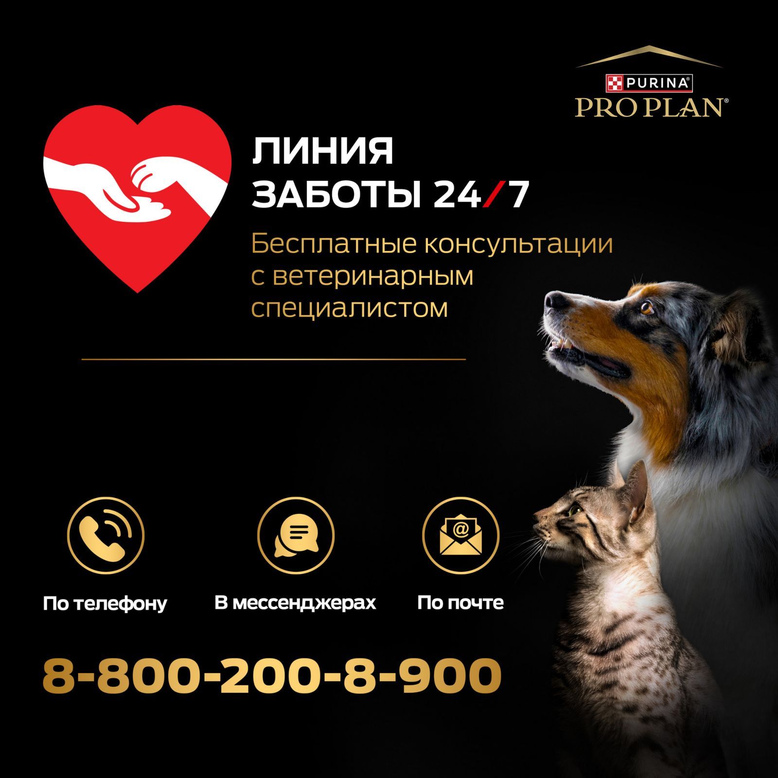 Влажный корм PRO PLAN Sterilised Maintenance для взрослых стерилизованных кошек и кастрированных котов, с говядиной в соусе, 85 г x 26 шт.