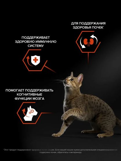 Сухой корм для кошек PRO PLAN Original для поддержания здоровья органов чувств, с лососем, 3 кг