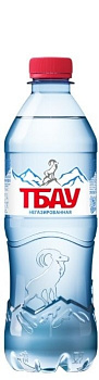 "Тбау" 0.5л ПЭТ б/г