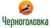 Черноголовка