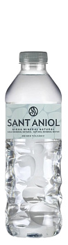 Sant Aniol ("Сант Аниол") 0.33л б/г